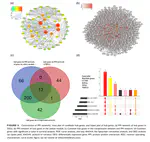 Bioinformatics Analysis