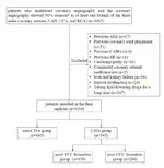 The Atherogenic Index of Plasma is a Predictor for Chronic Total Occlusion and Coronary Collateral Circulation Formation in CTOs Patients