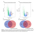 Four novel biomarkers for bladder cancer identified by weighted gene coexpression network analysis