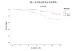 One year prognosis of chronic complete occlusive disease after percutaneous coronary intervention